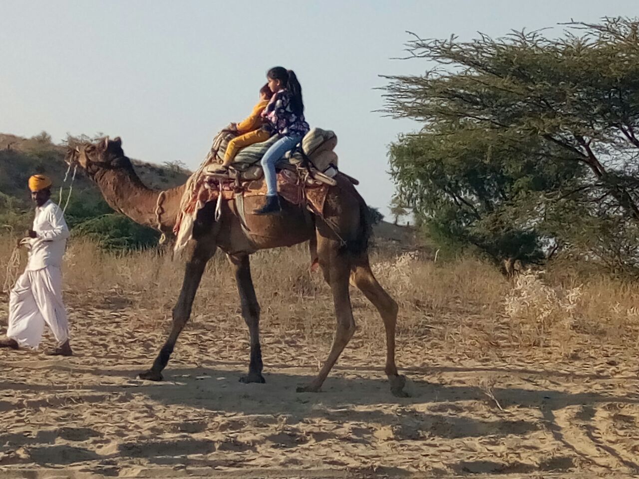 camel-safari-jodhpur