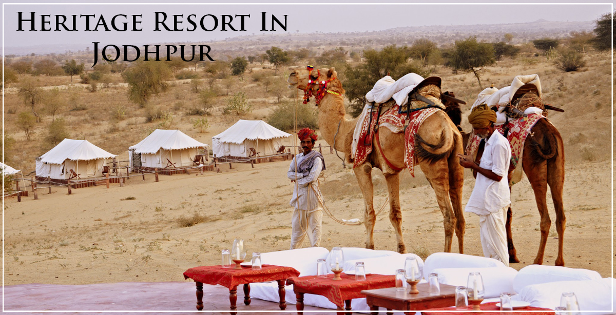 camel-safari-Jodhpur